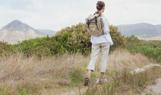 日夜兼程的意思是什么 日夜兼程的意思