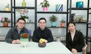 在商言商是什么意思 在商言商的含义