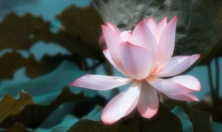 让人醒悟的佛语 关于让人醒悟的佛语