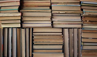 玉立的近义词 玉立有哪些近义词