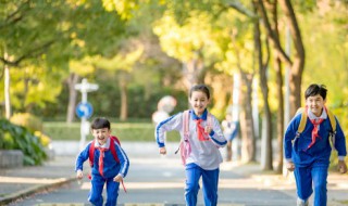小学生素质评价手册学生的话 小学生素质评价手册学生的话是什么