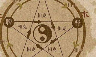 五行相生相克对照表 五行相生相克