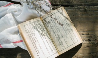 或王命急宣的宣是什么意思 或王命急宣的宣的含义