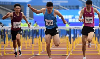 110米栏男子世界纪录 关于110米栏男子世界纪录