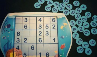 数独专业级别技巧 数独的专业级别技巧