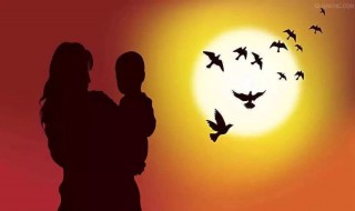 伤在儿身痛在娘心短句 伤在儿身痛在娘心短句有哪些