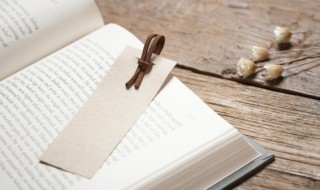 北宋资料简短? 北宋简介