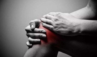 膝下指代什么 膝下含义