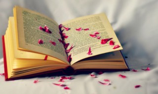 宇的含义是什么 宇的理解