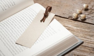 什么是益生元 益生元的解释