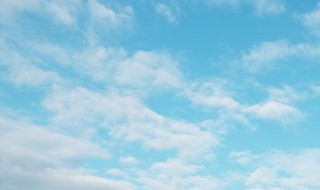 天高任鸟飞海阔凭鱼跃意思是什么 天高任鸟飞海阔凭鱼跃是什么意思