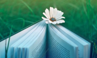 缘故词语的意思是什么 缘故词语的解释