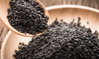 芝麻怎么储存不长虫 芝麻保存不生虫的方法