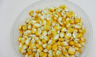 玉米粒发黑是怎么回事 还可以吃吗?