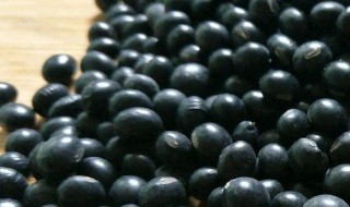 烤黑豆做法图解 烤黑豆的做法以及营养价值详解