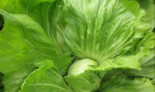 芥菜末做法图解 味道很香的