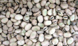 蚕豆怎么煮才好吃 蚕豆的三种做法详解