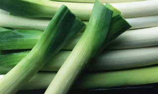 大葱几天浇一次 有什么规律