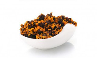 雪菊花的功效与作用 雪菊花不适宜什么人