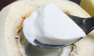 椰汁冻奶做法图解 来学学吧