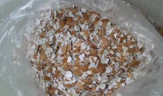 鸡蛋壳怎么腐熟 送给喜欢的你