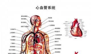 支架报销多少 具体是怎么样的