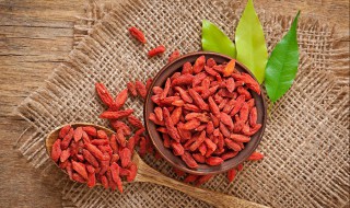 枸杞盆栽怎么养 掐一根枝桠就能种活，果子挂满枝