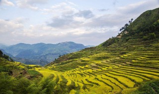 庆元县属于哪个市 庆元县的具体位置