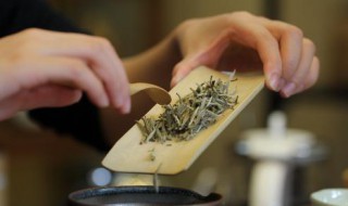 泡茶禁忌 六大禁忌你都了解吗