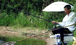 第一次钓鱼怎么调漂 大神给你说说钓鱼的技巧