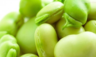 蚕豆几月份种 大家可以看看