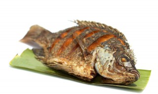 长期吃罗非鱼的危害 严重吗