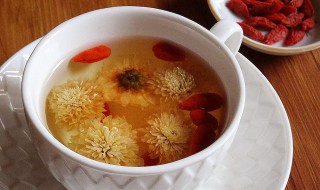 枸杞菊花茶禁忌 能隔夜吗