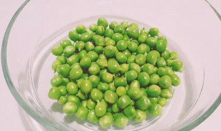 豌豆一坑种几粒 大家可以了解一下
