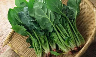种菠菜用什么肥料 四季应该怎么办