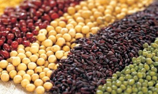 增肌最便宜的食物 为什么？