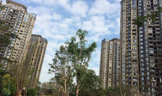 四楼的缺点 各楼层的优缺点