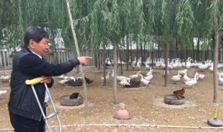 闯荡残疾人是第几集 好多人都喜欢看电视剧