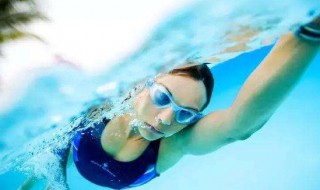 学习自由泳的步骤　学游泳要知道