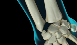 舟骨的作用 了解了解