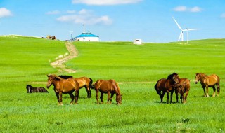 蒙古国人均工资 关于蒙古的简介