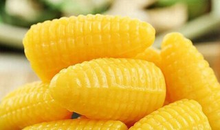 玉米能制麦芽糖吗 和其他糖浆有什么区别？