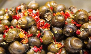 7种寄生虫最多的食物 你若是全都吃过,你的肠胃很强大