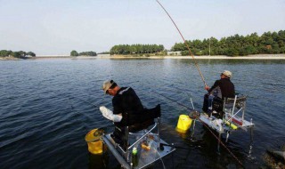 青岛钓鱼哪些地方 最好有具体地址