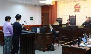 孟凡斌王婧被判几年 网红不好当