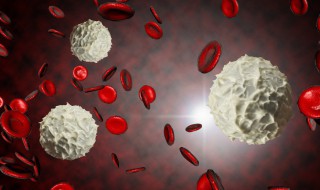 70岁白细胞正常值范围 白细胞的参考值是多少