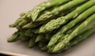 芦笋什么时候种植 芦笋哪个季节种植最好