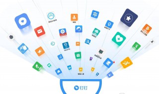 手机钉钉使用教程 如何使用手机版钉钉