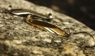 路亚马口用什么饵 路亚马口用哪种饵