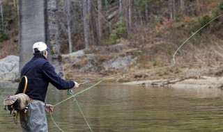 加粗尾浮漂挂蚯蚓如何调漂 喜欢钓鱼是一件美好的事